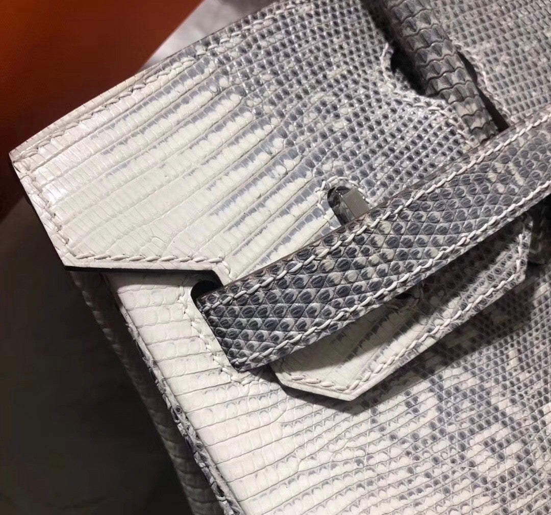 Hermes Rare SHINY OMBRÉ SALVATOR LIZARD BIRKIN 30 WITH PALLADIUM HARDWARE