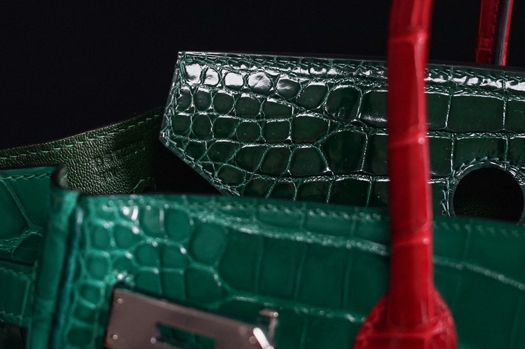 Hermes Niloticus Crocodile  Vibrato Leather BIRKIN 30CM Multiple color III