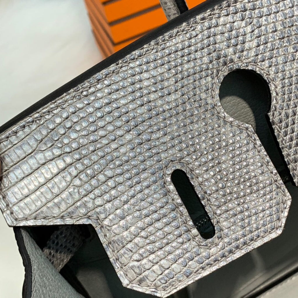Hermes SHINY OMBRÉ SALVATOR LIZARD BIRKIN 30 WITH PALLADIUM HARDWARE
