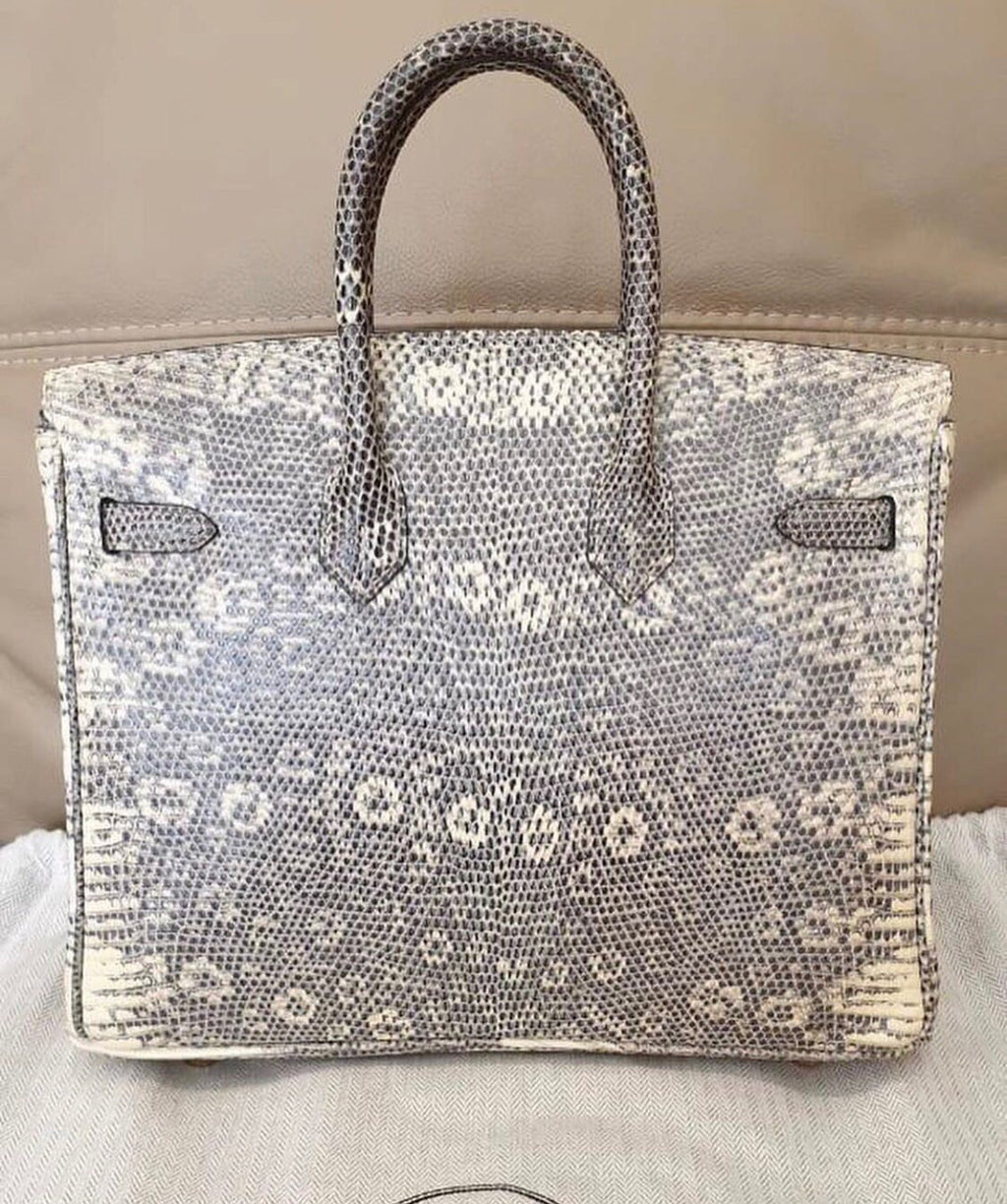 Hermes SHINY OMBRÉ SALVATOR LIZARD BIRKIN 25 WITH GOLD HARDWARE