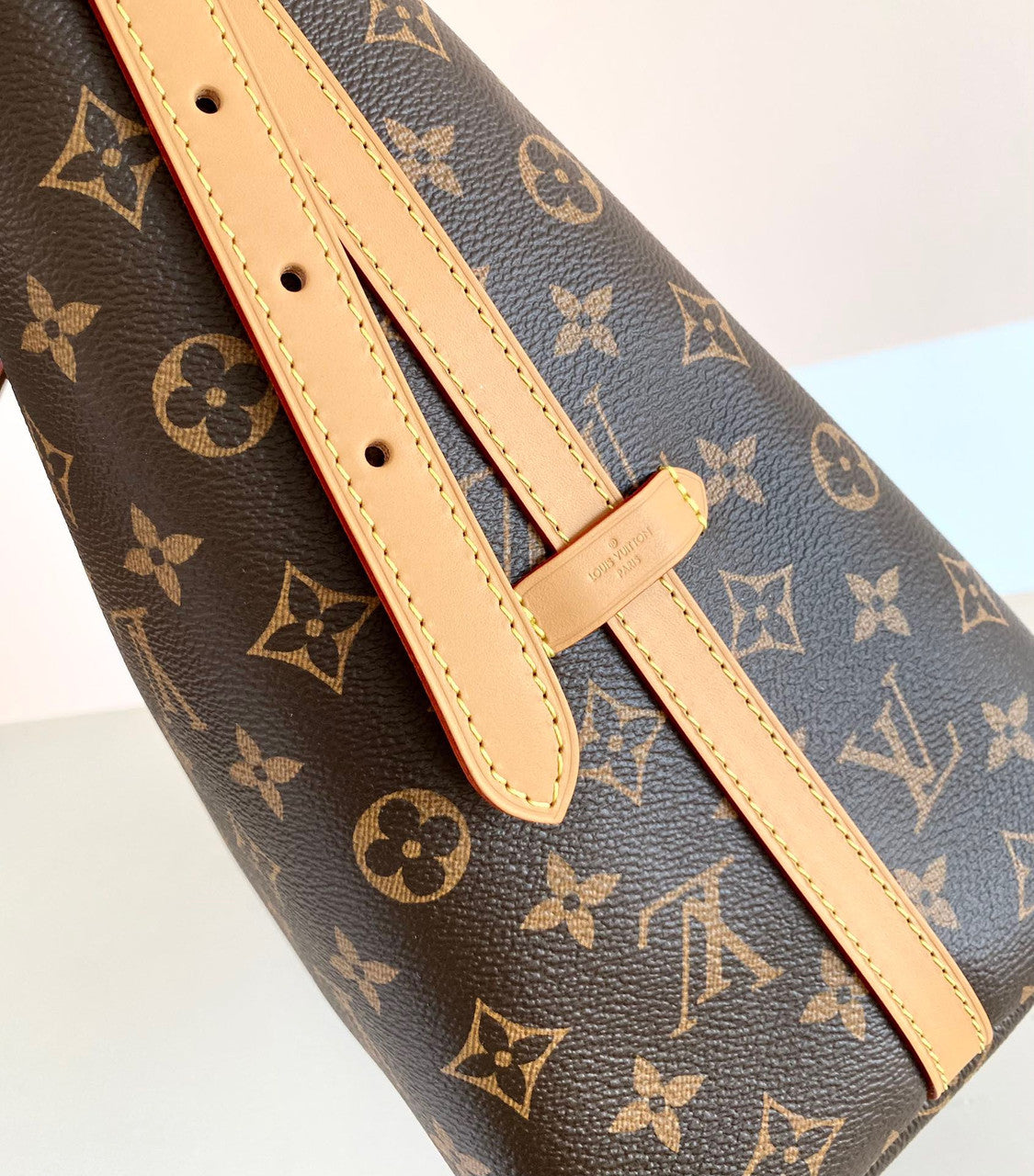 Louis Vuitton M46197 CARRYALL MM