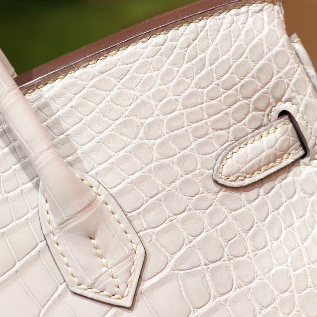 Hermes Special Order Birkin 25cm Matte Alligator 8U Glacier Bleu / L3 Rose pourpre with Palladium hardware