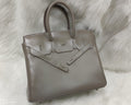 Hermes Shadow Birkin 25 Bag 8F Etain Evercalf Limited Edition