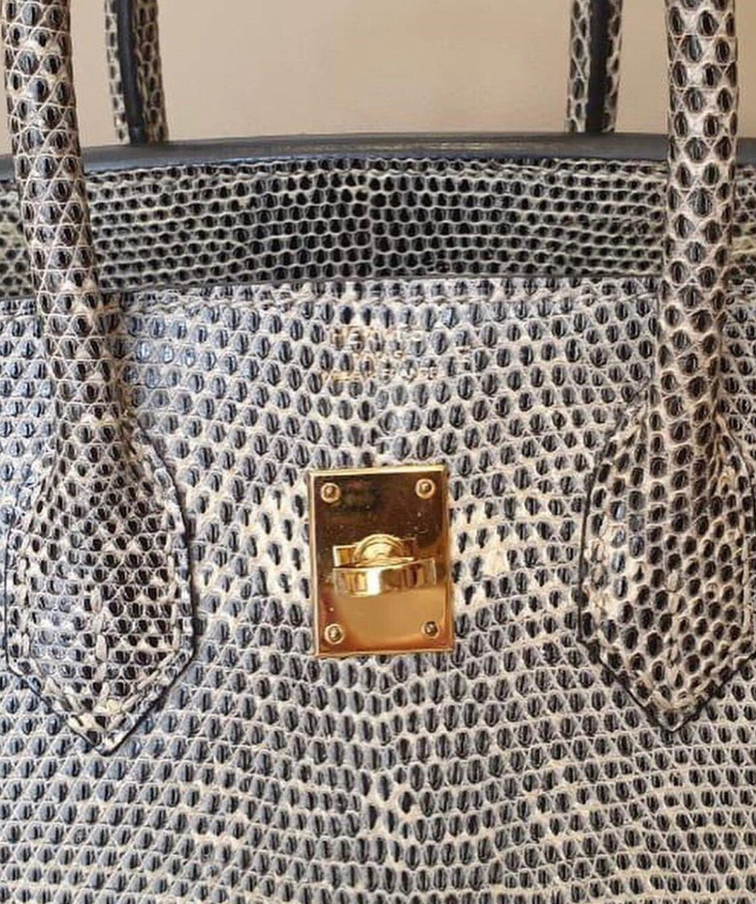 Hermes SHINY OMBRÉ SALVATOR LIZARD BIRKIN 25 WITH GOLD HARDWARE