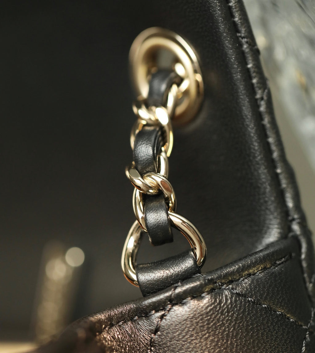 Chanel Cruise 2022/23 MINI FLAP BAG With Enamel