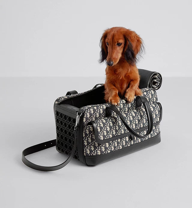 Christian Dior Hit the Road Pet Carrier Bag