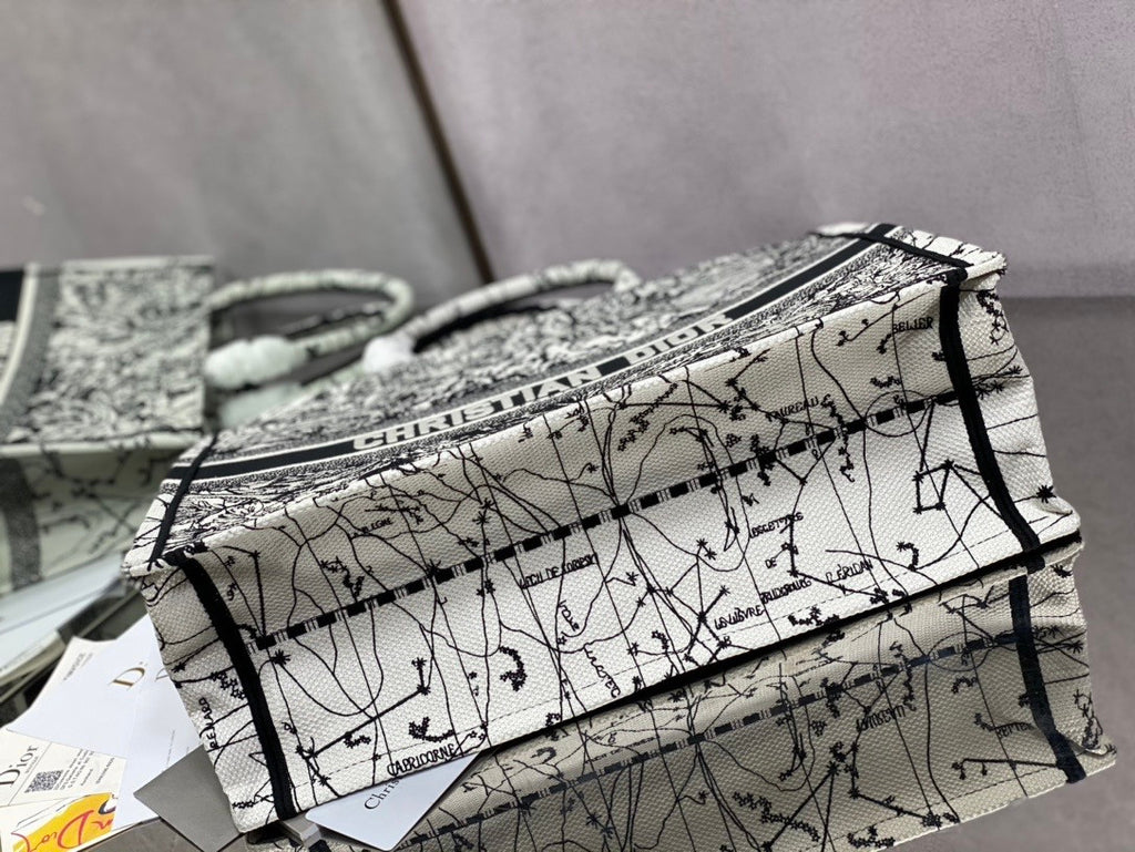 Christian Dior DIOR BOOK TOTE Latte Multicolor Dior Zodiac Embroidery