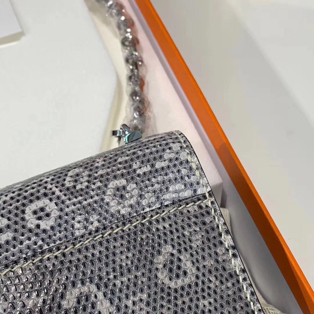 Hermès Ombre Lizard Verrou 17 Bag