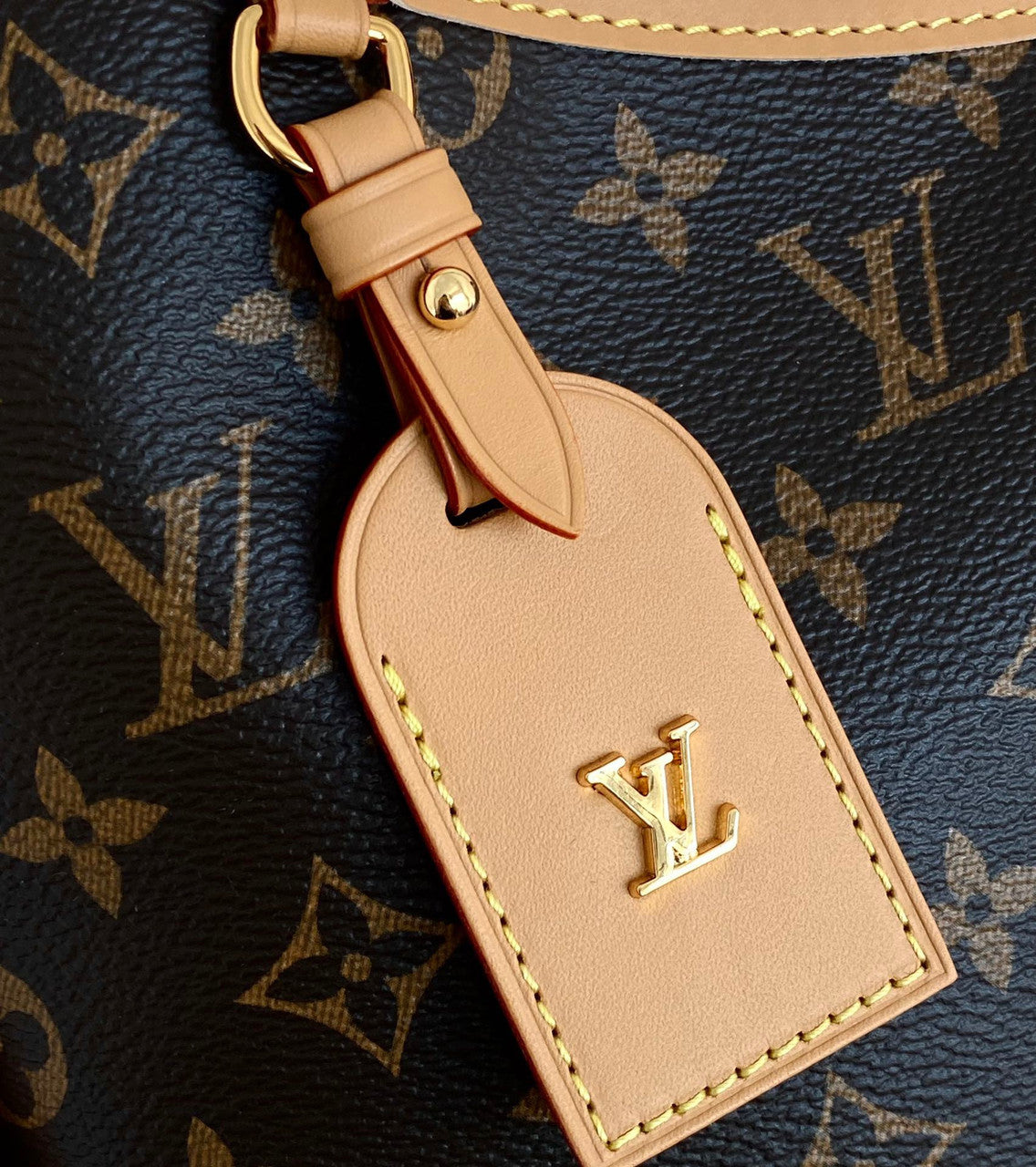 Louis Vuitton M46197 CARRYALL MM