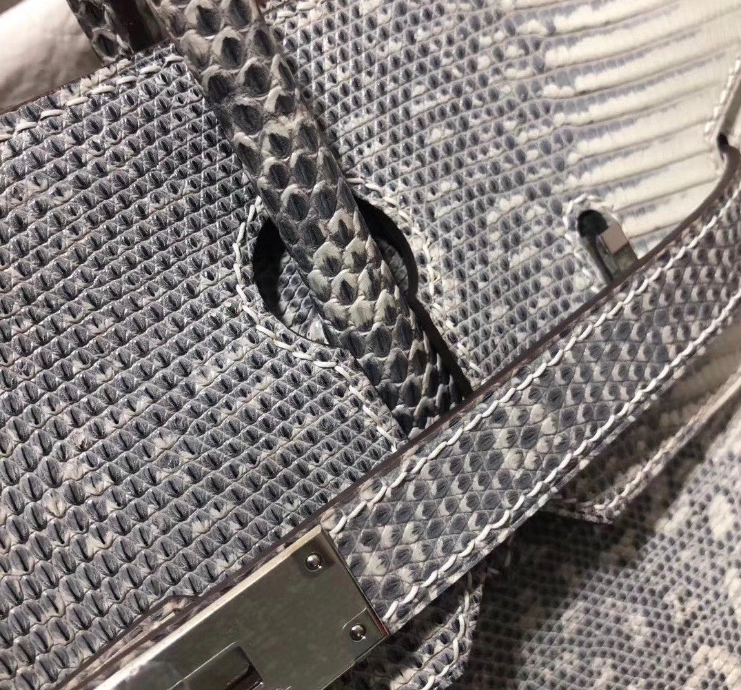 Hermes SHINY OMBRÉ SALVATOR LIZARD BIRKIN 30 WITH PALLADIUM HARDWARE