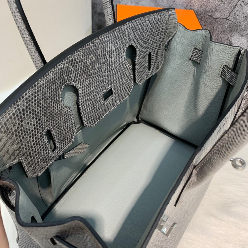 Hermes SHINY OMBRÉ SALVATOR LIZARD BIRKIN 30 WITH PALLADIUM HARDWARE