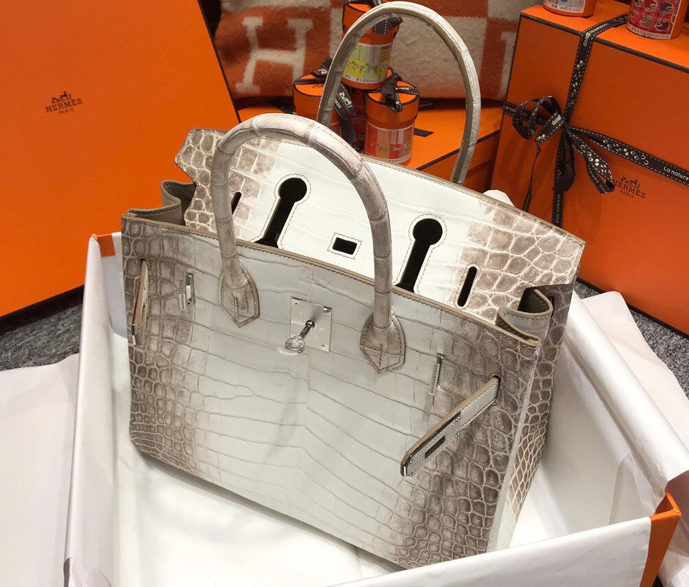 Hermes Matte Himalayan Prosperous  crocodile  Birkin bag with 18-karat white gold and diamond