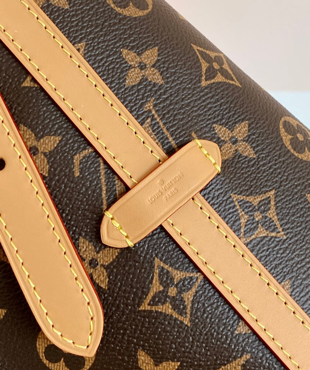 Louis Vuitton M46197 CARRYALL MM