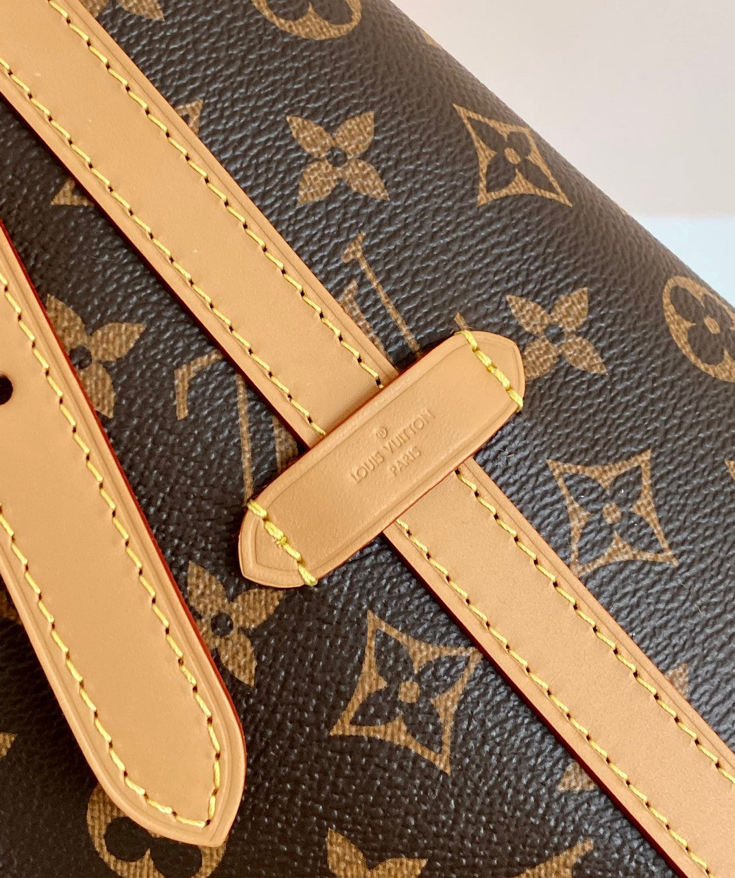 Louis Vuitton M46197 CARRYALL MM