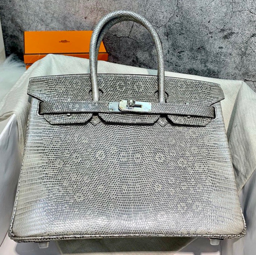 Hermes SHINY OMBRÉ SALVATOR LIZARD BIRKIN 30 WITH PALLADIUM HARDWARE