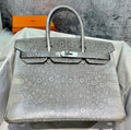 Hermes SHINY OMBRÉ SALVATOR LIZARD BIRKIN 30 WITH PALLADIUM HARDWARE