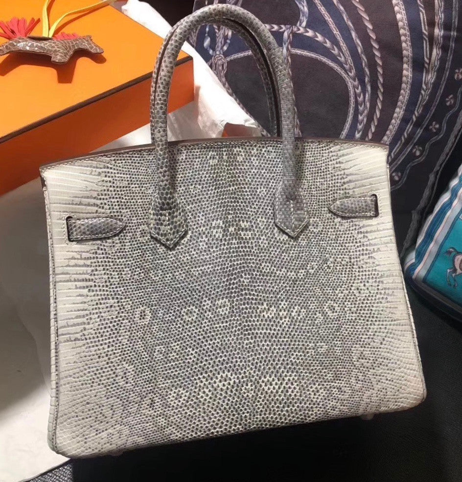 Hermes Rare SHINY OMBRÉ SALVATOR LIZARD BIRKIN 30 WITH PALLADIUM HARDWARE