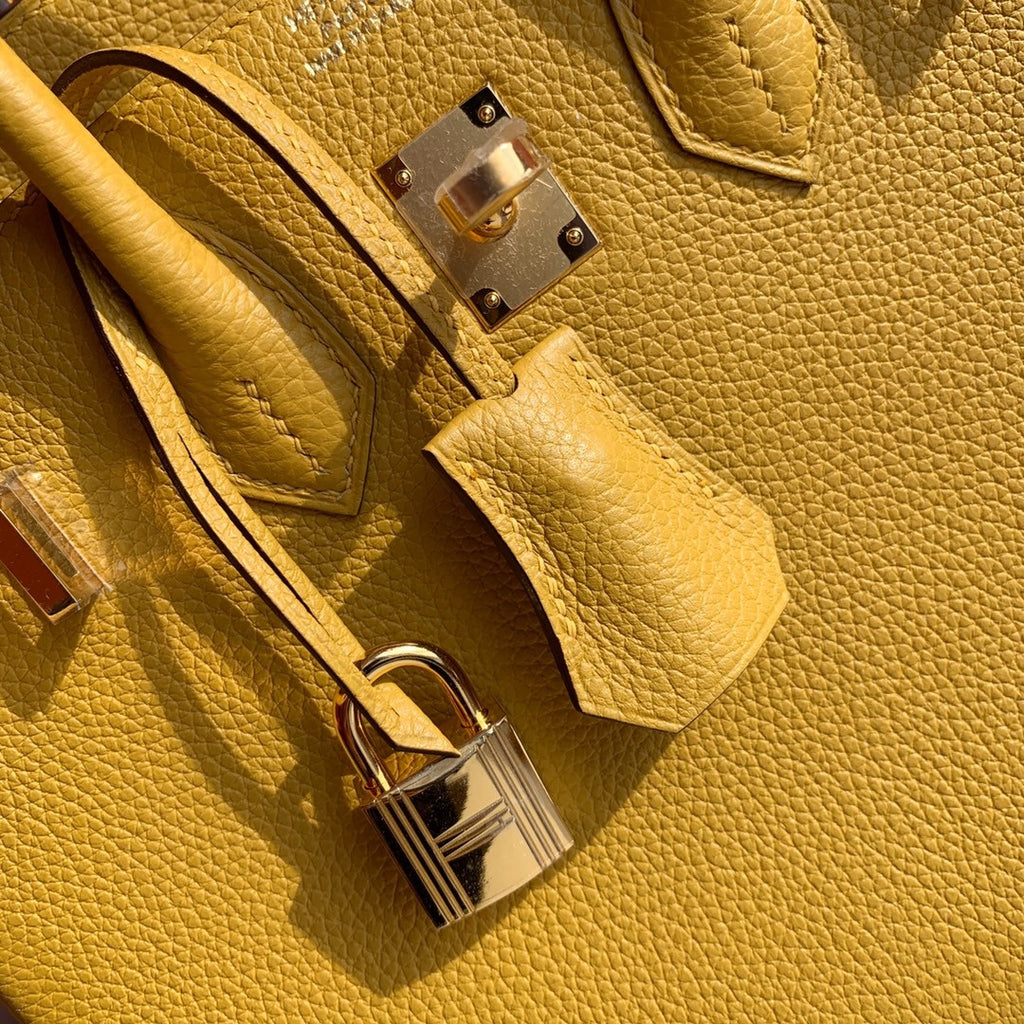 Hermes Hermes 9D Birkin 25 cm Togo Gold Hardware