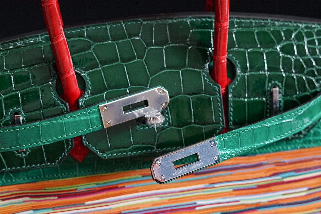 Hermes Niloticus Crocodile  Vibrato Leather BIRKIN 30CM Multiple color III