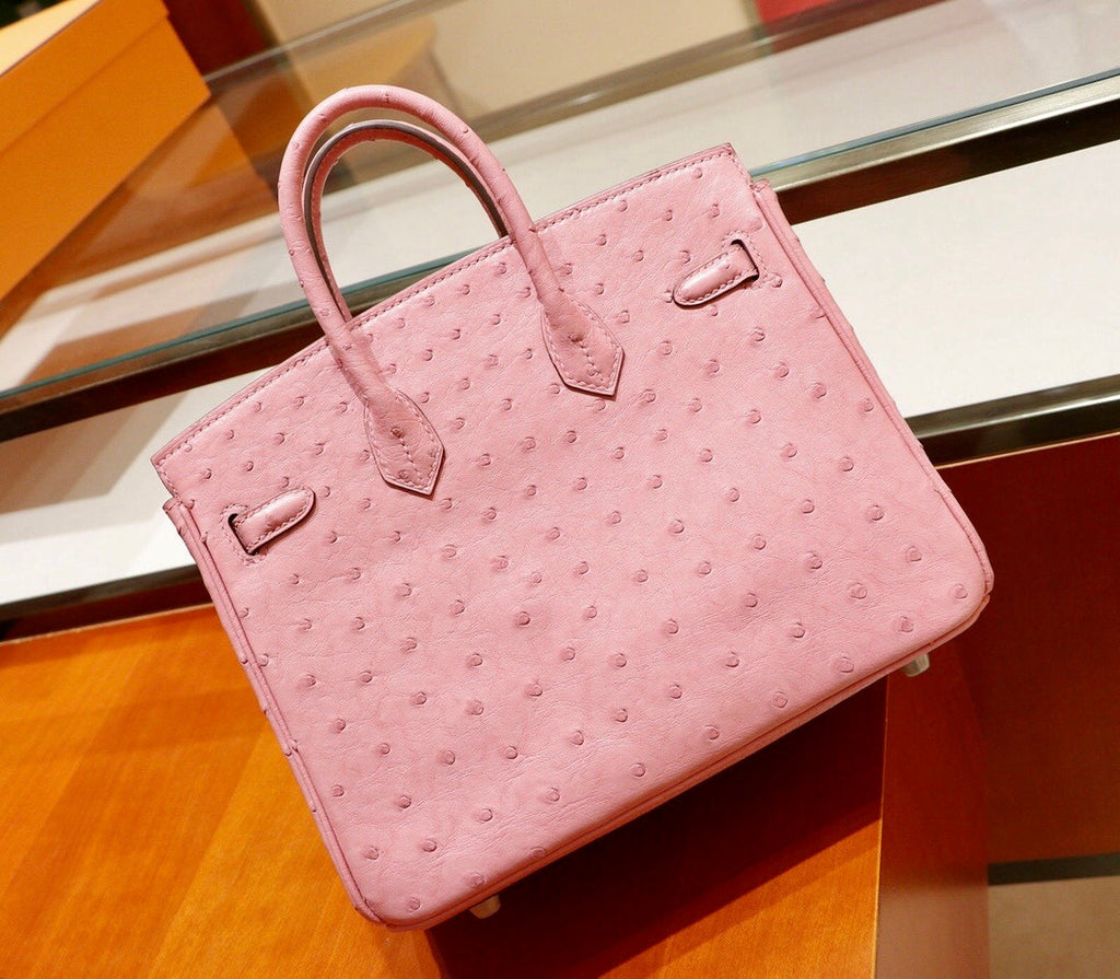 Hermes  94 Terre Cuite Birkin Bag 25cm KK Ostrich Leather Palladium  Hardware