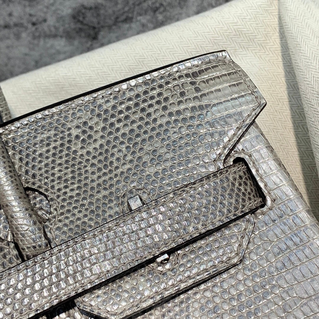 Hermes SHINY OMBRÉ SALVATOR LIZARD BIRKIN 30 WITH PALLADIUM HARDWARE