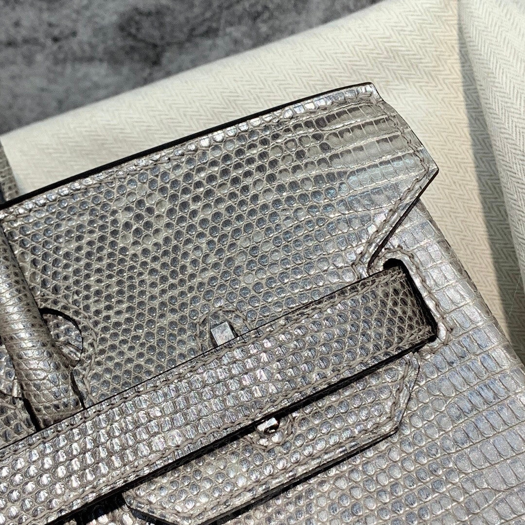 Hermes SHINY OMBRÉ SALVATOR LIZARD BIRKIN 30 WITH PALLADIUM HARDWARE