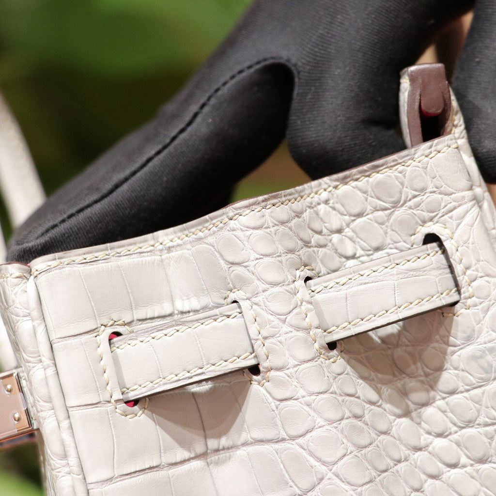 Hermes Special Order Birkin 25cm Matte Alligator 8U Glacier Bleu / L3 Rose pourpre with Palladium hardware