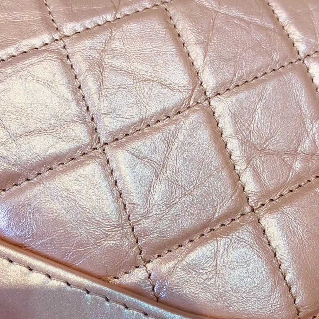 CHANEL'S Iridescent GABRIELLE Small Hobo Bag Pink
