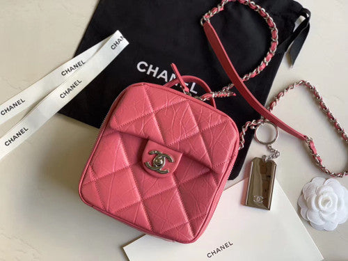 Chanel Camera case AS1323 Pink