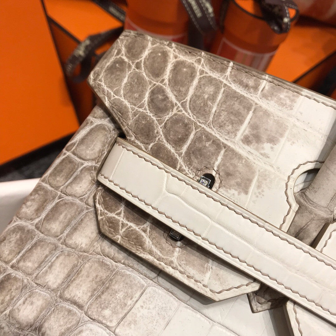 Hermes Matte Himalayan Prosperous  crocodile  Birkin bag with 18-karat white gold and diamond
