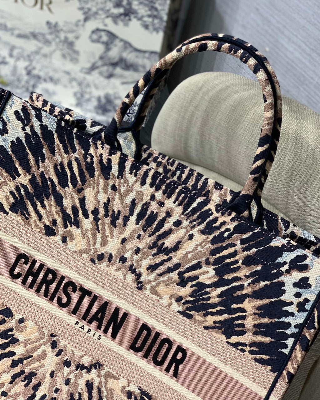 Christian Dior DIOR BOOK TOTE Multicolor Tie & Dior Embroidery