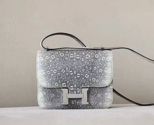 Hermes Constance 18 Ombre Lizard Palladium Hardware