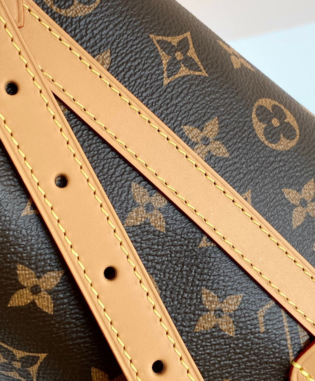Louis Vuitton M46197 CARRYALL MM