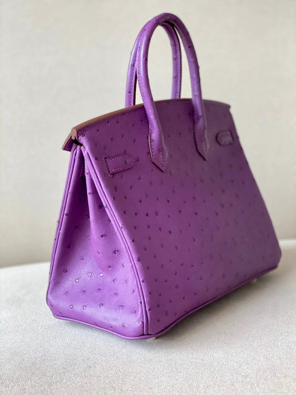 Hermes P9 Anemone Birkin Bag 25cm Ostrich Leather Gold Hardware
