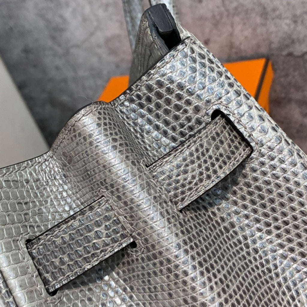Hermes SHINY OMBRÉ SALVATOR LIZARD BIRKIN 30 WITH PALLADIUM HARDWARE
