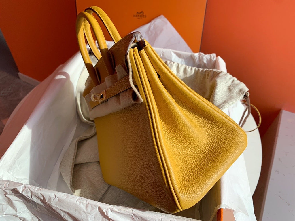 Hermes Hermes 9D Birkin 25 cm Togo Gold Hardware