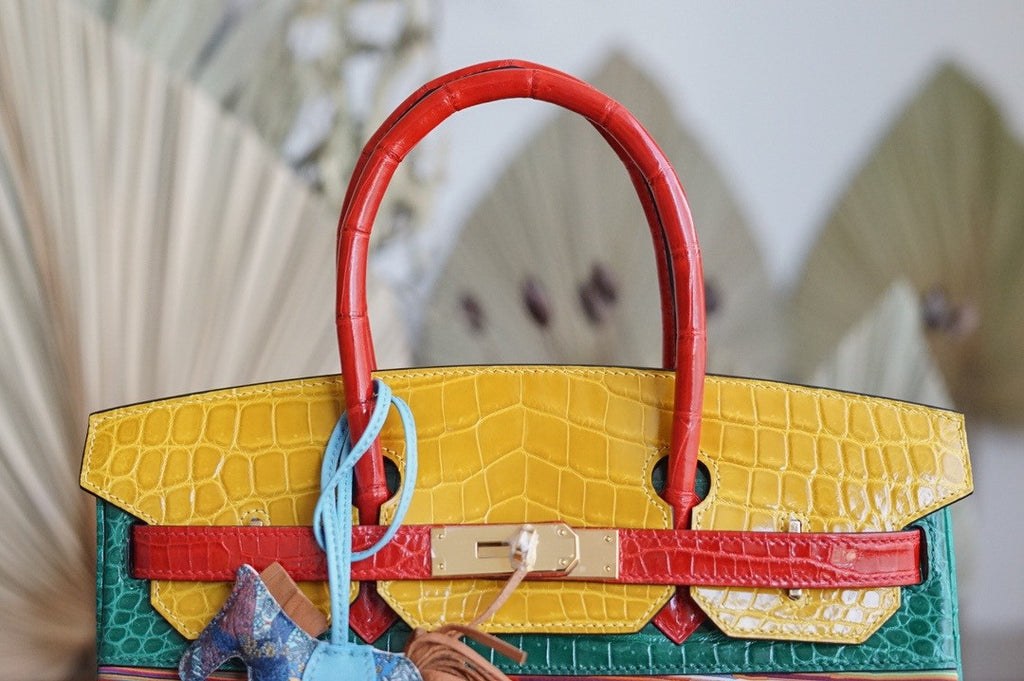 Hermes Niloticus Crocodile  Vibrato Leather BIRKIN 25CM Multiple color I