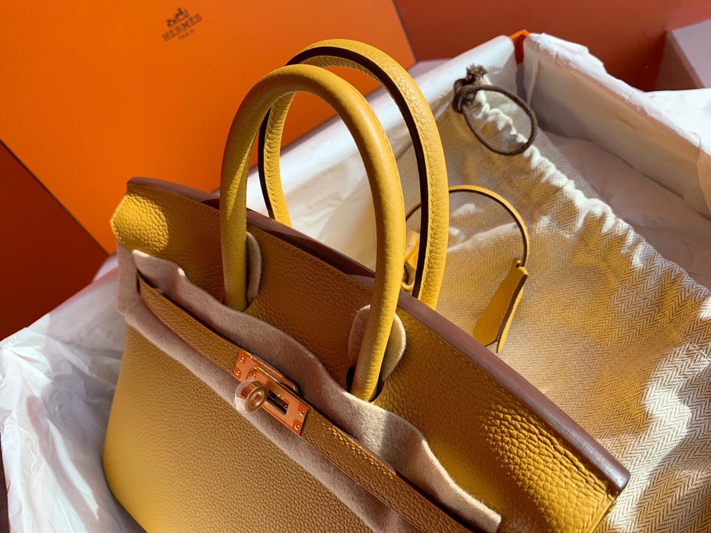 Hermes Hermes 9D Birkin 25 cm Togo Gold Hardware