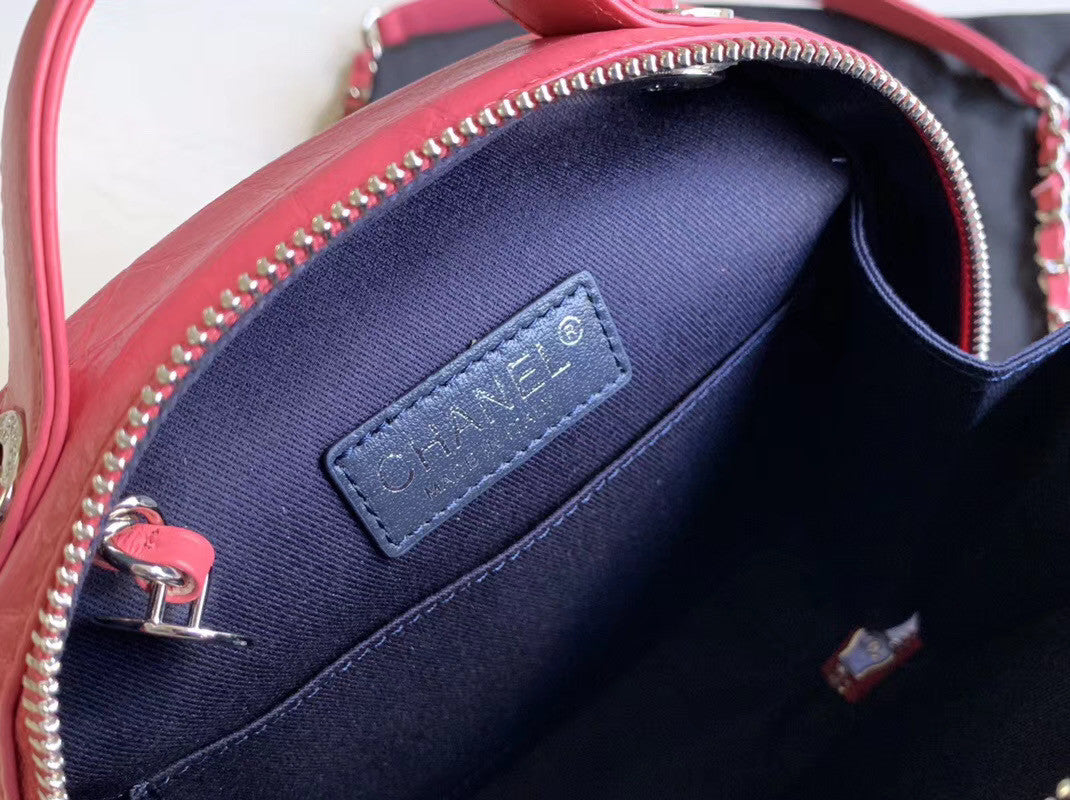 Chanel Camera case AS1323 Pink