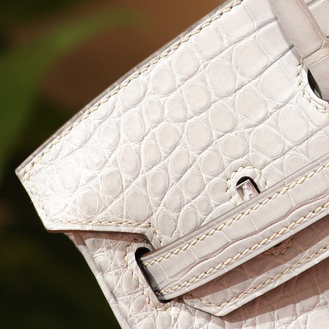 Hermes Special Order Birkin 25cm Matte Alligator 8U Glacier Bleu / L3 Rose pourpre with Palladium hardware