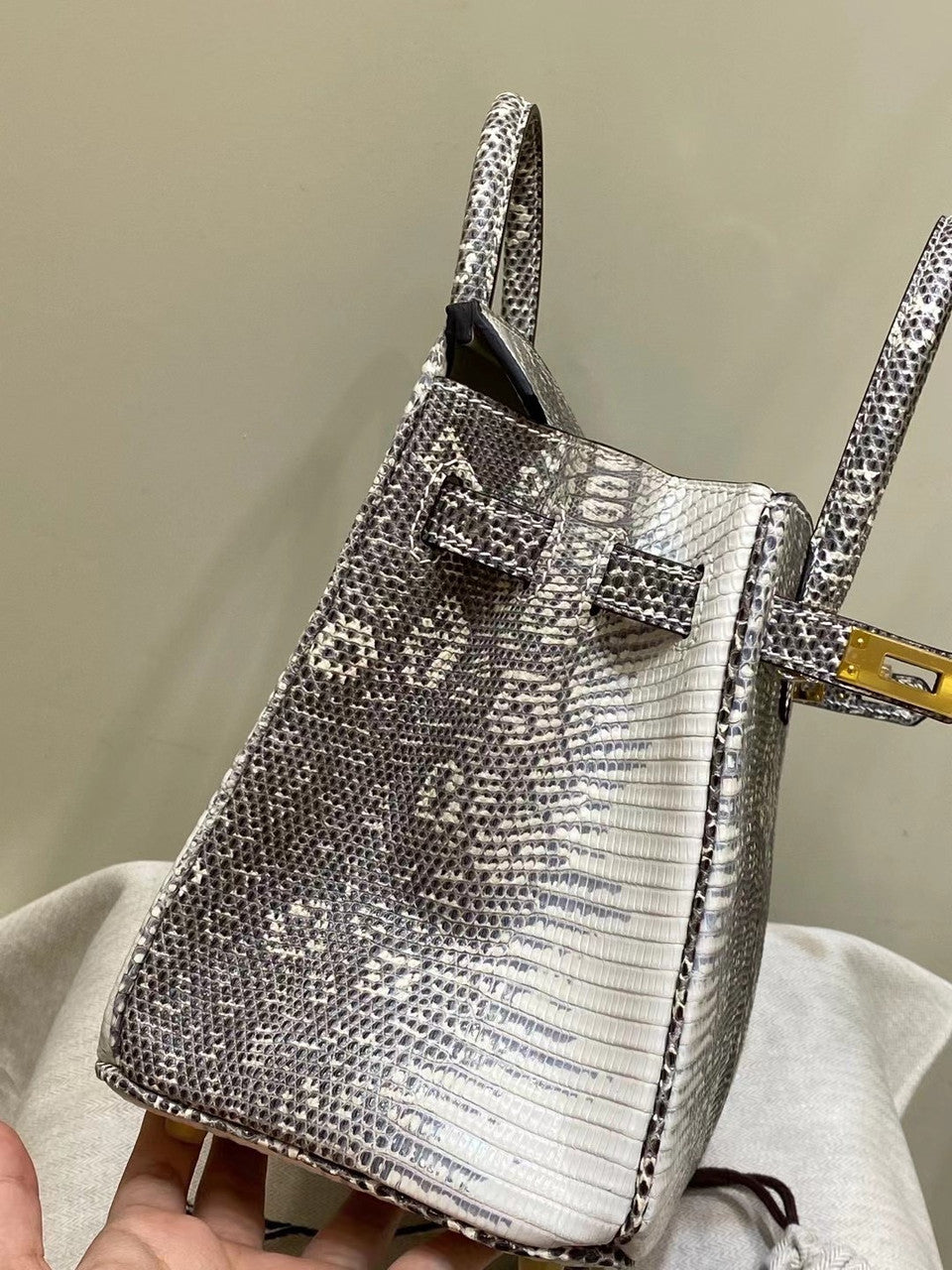Hermes  Ombre Lizard Birkin Bag 25cm Gold Hardware