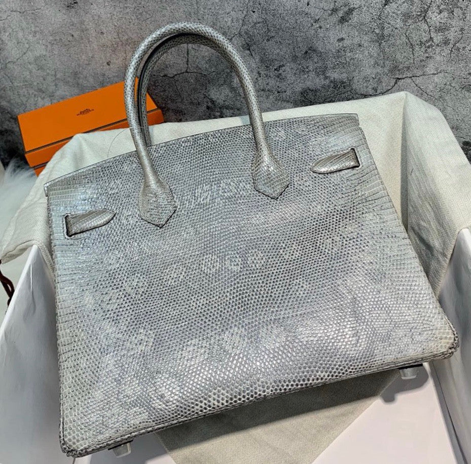 Hermes SHINY OMBRÉ SALVATOR LIZARD BIRKIN 30 WITH PALLADIUM HARDWARE