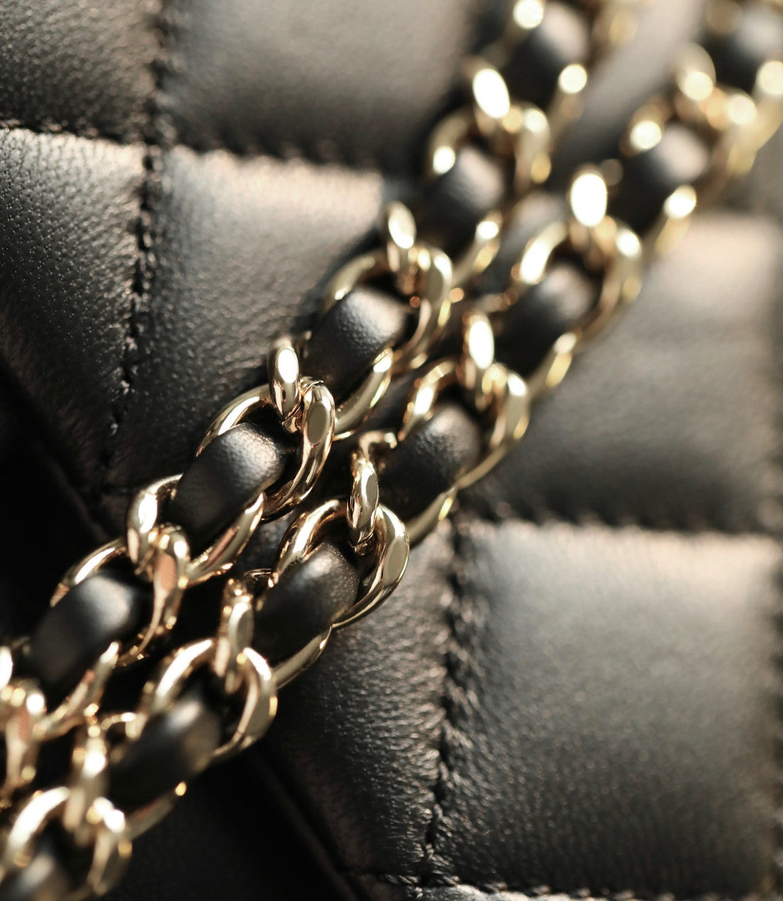 Chanel Cruise 2022/23 MINI FLAP BAG With Enamel