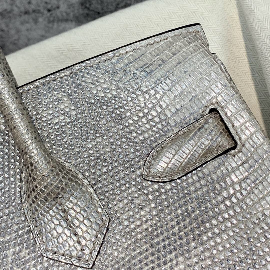 Hermes SHINY OMBRÉ SALVATOR LIZARD BIRKIN 30 WITH PALLADIUM HARDWARE