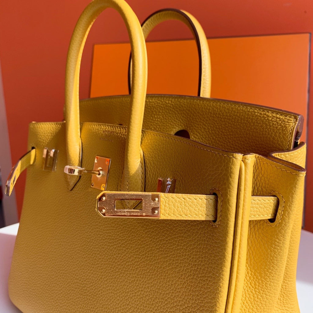 Hermes Hermes 9D Birkin 25 cm Togo Gold Hardware