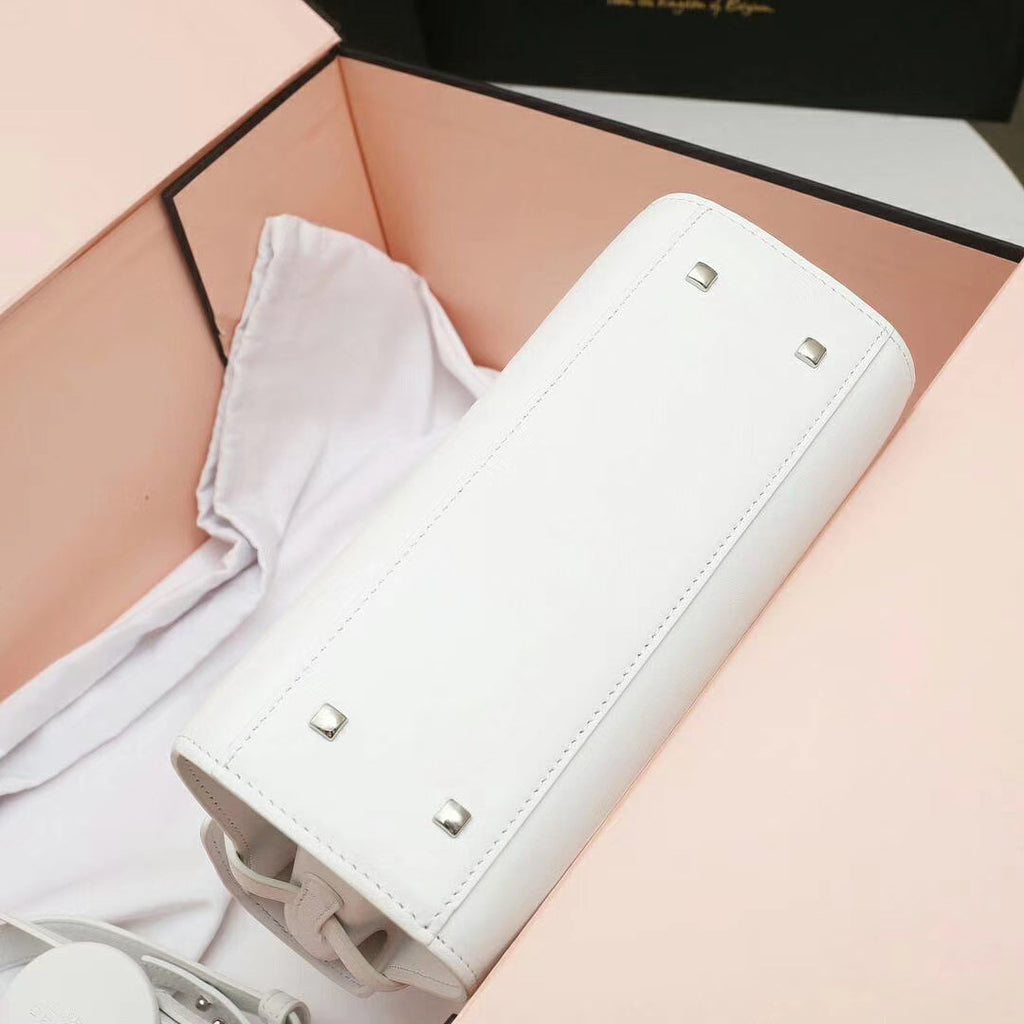 Delvaux tempete crown mini limited edition