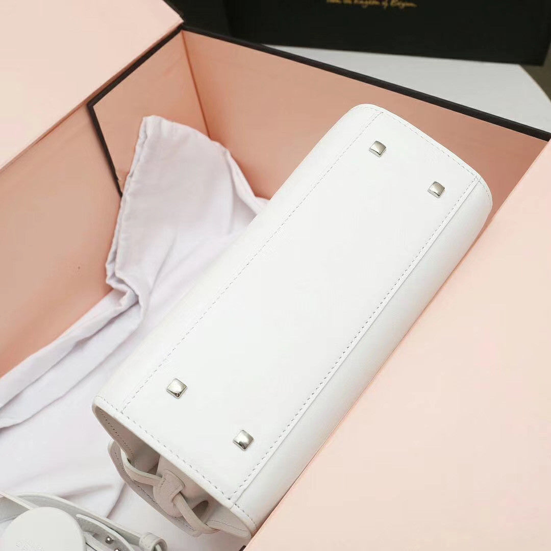 Delvaux tempete crown mini limited edition