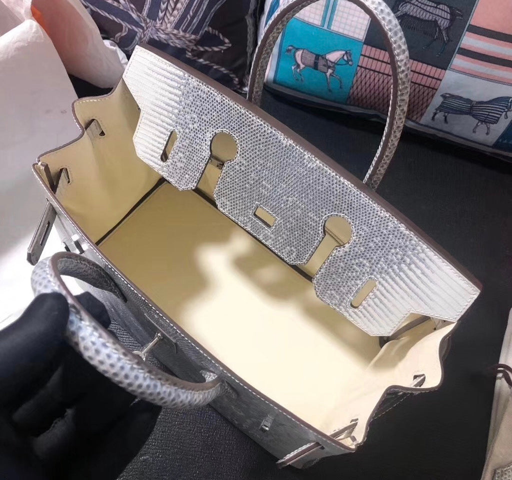 Hermes Rare SHINY OMBRÉ SALVATOR LIZARD BIRKIN 30 WITH PALLADIUM HARDWARE