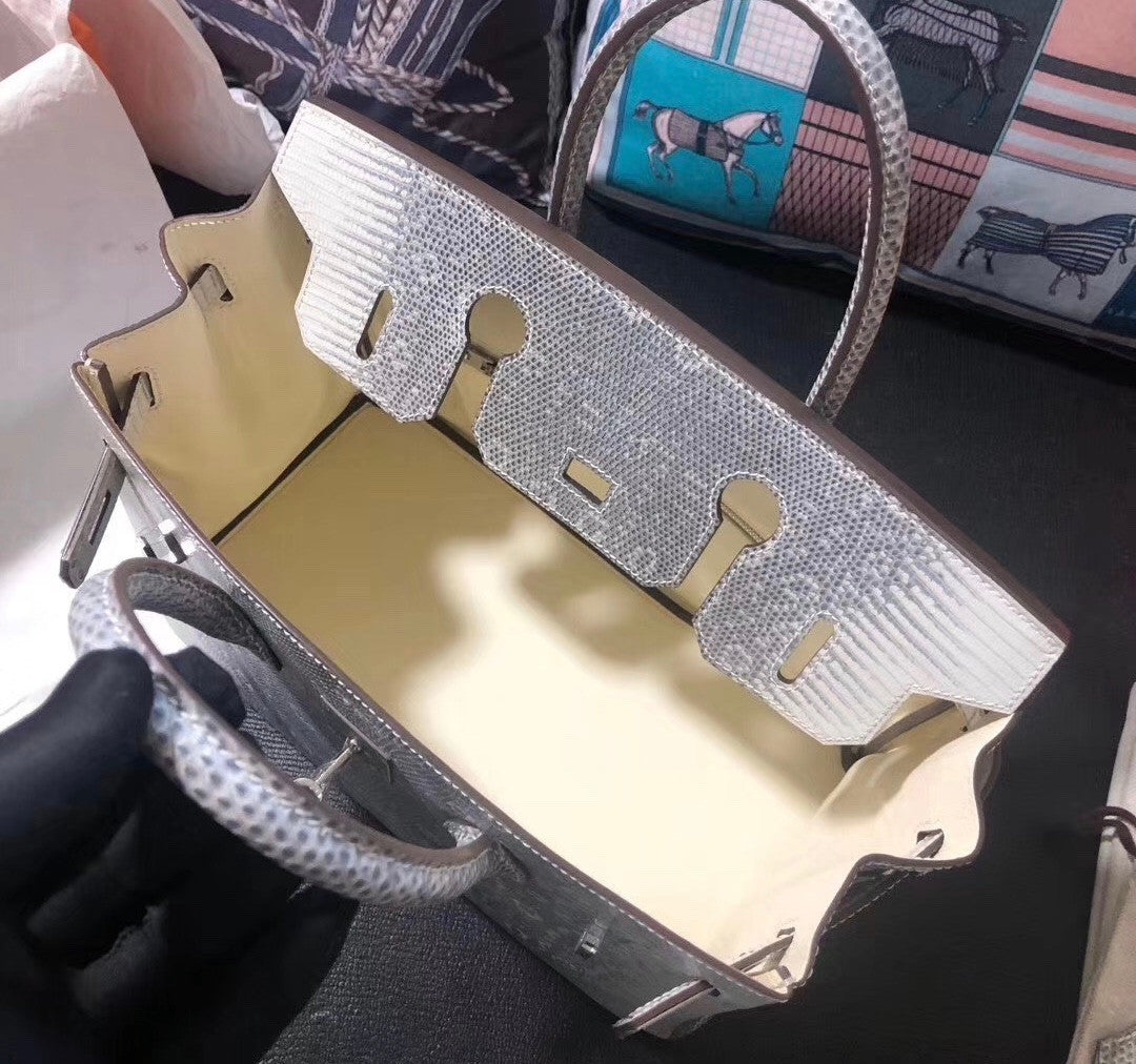 Hermes Rare SHINY OMBRÉ SALVATOR LIZARD BIRKIN 30 WITH PALLADIUM HARDWARE