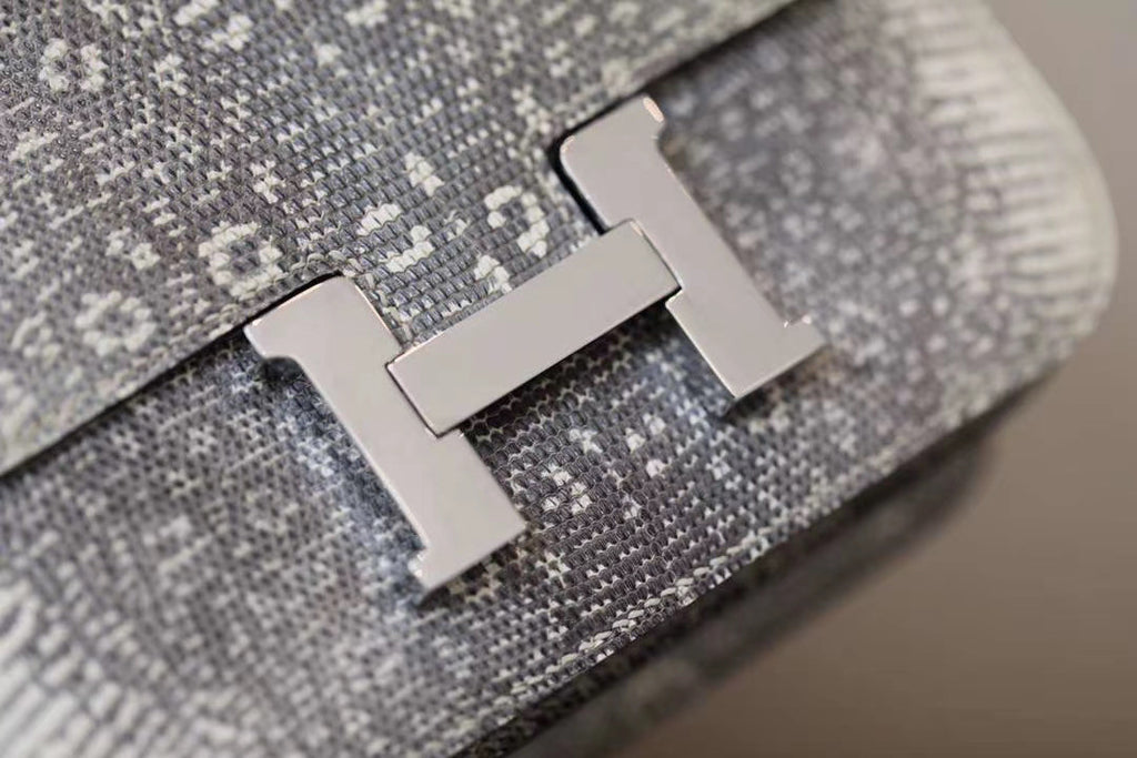 Hermes Constance 18 Ombre Lizard Palladium Hardware